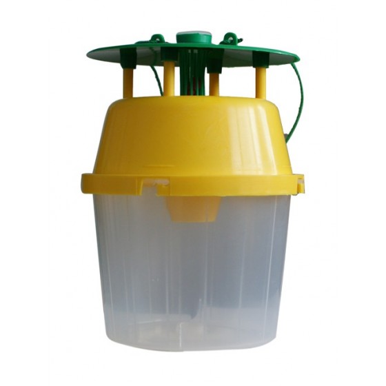 Funnel Trap Transparent