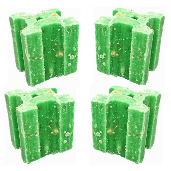 Souricide Bromapesce 50 blocs de 20 grs