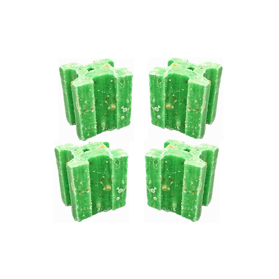 Souricide Bromapesce 50 blocs de 20 grs